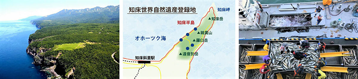 北海道②